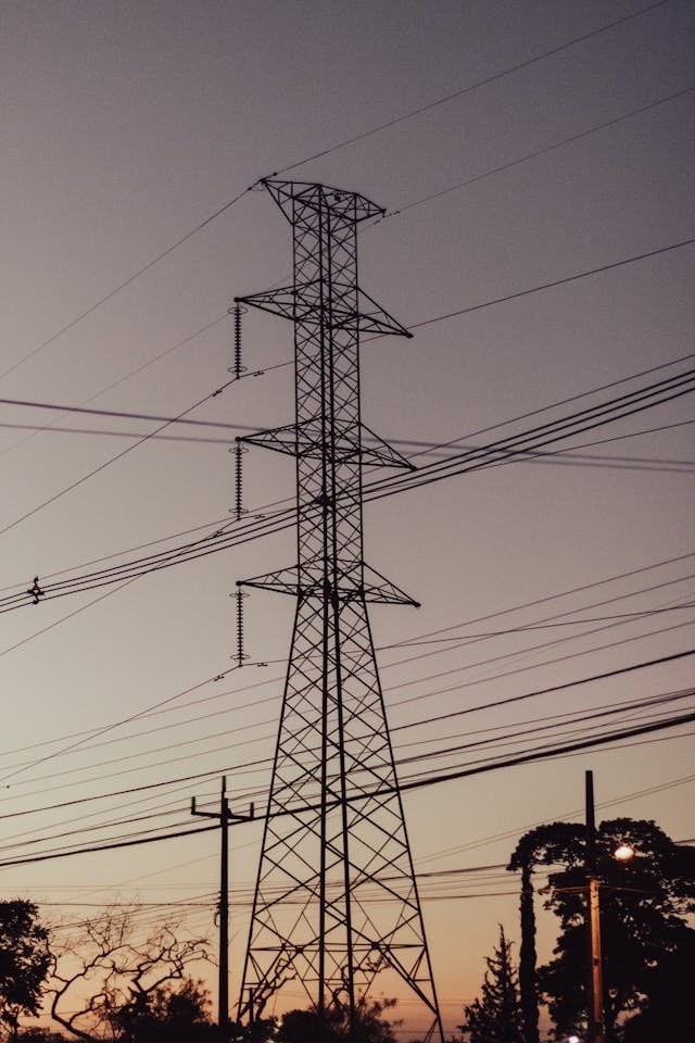 pexels elian emanuel coutinho roehrs 204760327 14495601