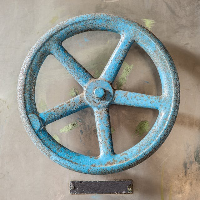 pexels mike van schoonderwalt 1884800 5503877