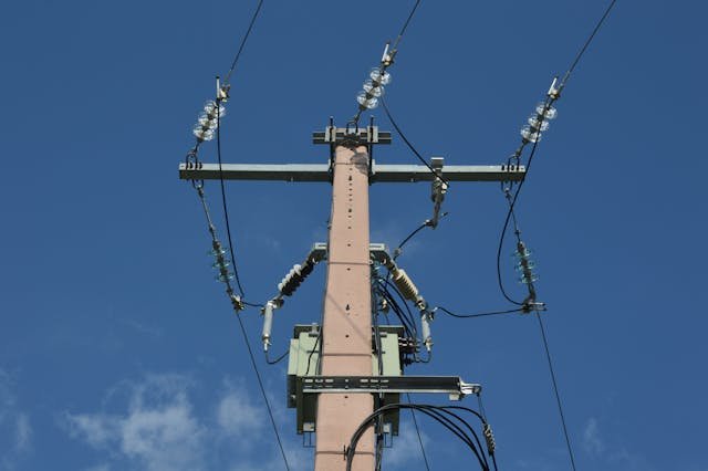 pexels ulrick t 15949038